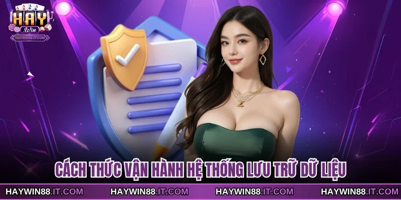 Cách thức vận hành hệ thống lưu trữ dữ liệu