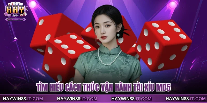 Tìm hiểu cách thức vận hành tài xỉu MD5